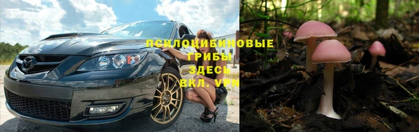 МДМА Медвежьегорск