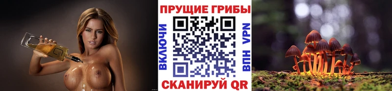 купить наркотики цена  ОМГ ОМГ маркетплейс  Галлюциногенные грибы Magic Shrooms  Светогорск 